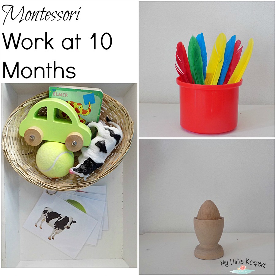 montessori work at 10 months