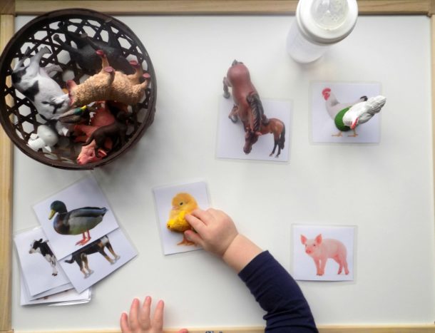 Montessori Inspired Farm Animal Activities for Toddlers My Little Keepers